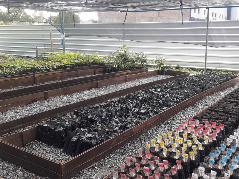 No dia 14/03, ocorreu a entrega oficial da instalação do Viveiro Florestal, fruto da parceria entre o Instituto de Biodiversidade e Florestas (Ibef) e o Instituto de Desenvolvimento Florestal e da Biodiversidade do Estado do Pará (Ideflor-bio).