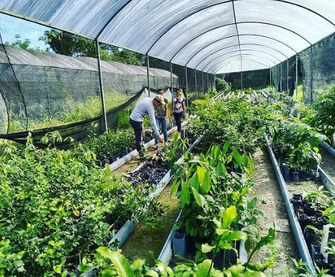 No dia 10/06, será realizado o "Dia de Campo", na Fazenda Experimental. Para participar, o discente precisará efetivar a inscrição no período de 23 a 27/05.  São disponibilizadas vagas para os cinco cursos do Instituto.
Participe!