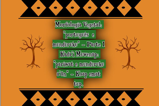 Morfologia Vegetal: “português e munduruku” – Parte 1
Kada’i Muwenap: “pariwat e munduruku a’õn” – Koap emat